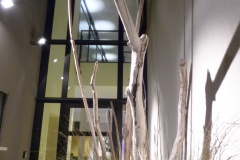 060 f.ferrero architecte